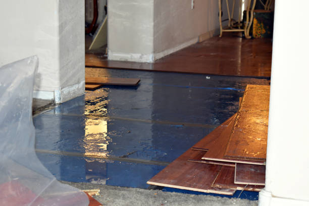Professional Basement Flood Cleanup technician working in Middletown, IN